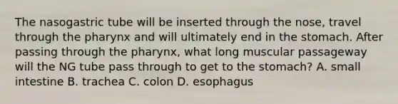 The nasogastric tube will be inserted through the nose, travel through <a href='https://www.questionai.com/knowledge/ktW97n6hGJ-the-pharynx' class='anchor-knowledge'>the pharynx</a> and will ultimately end in <a href='https://www.questionai.com/knowledge/kLccSGjkt8-the-stomach' class='anchor-knowledge'>the stomach</a>. After passing through the pharynx, what long muscular passageway will the NG tube pass through to get to the stomach? A. small intestine B. trachea C. colon D. esophagus