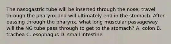 The nasogastric tube will be inserted through the nose, travel through the pharynx and will ultimately end in the stomach. After passing through the pharynx, what long muscular passageway will the NG tube pass through to get to the stomach? A. colon B. trachea C. esophagus D. small intestine