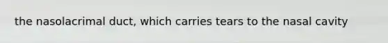 the nasolacrimal duct, which carries tears to the nasal cavity
