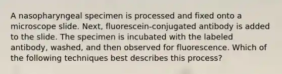 A nasopharyngeal specimen is processed and fixed onto a microscope slide. Next, fluorescein-conjugated antibody is added to the slide. The specimen is incubated with the labeled antibody, washed, and then observed for fluorescence. Which of the following techniques best describes this process?