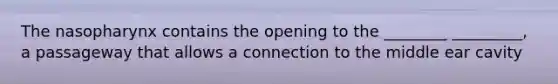 The nasopharynx contains the opening to the ________ _________, a passageway that allows a connection to the middle ear cavity