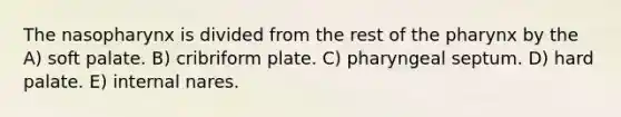 The nasopharynx is divided from the rest of the pharynx by the A) soft palate. B) cribriform plate. C) pharyngeal septum. D) hard palate. E) internal nares.