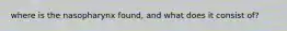 where is the nasopharynx found, and what does it consist of?