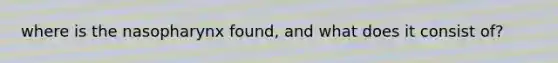 where is the nasopharynx found, and what does it consist of?