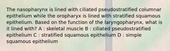 The nasopharynx is lined with ciliated pseudostratified columnar epithelium while the oropharyx is lined with stratified squamous epithelium. Based on the function of the laryngopharynx, what is it lined with? A : skeletal muscle B : ciliated pseudostratified epithelium C : stratified squamous epithelium D : simple squamous epithelium