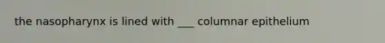 the nasopharynx is lined with ___ columnar epithelium