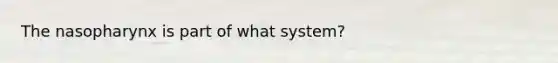 The nasopharynx is part of what system?