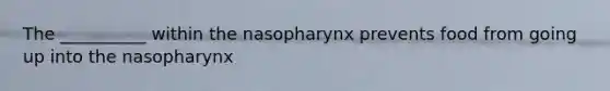 The __________ within the nasopharynx prevents food from going up into the nasopharynx