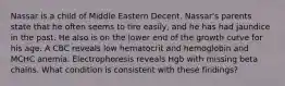 Nassar is a child of Middle Eastern Decent. Nassar's parents state that he often seems to tire easily, and he has had jaundice in the past. He also is on the lower end of the growth curve for his age. A CBC reveals low hematocrit and hemoglobin and MCHC anemia. Electrophoresis reveals Hgb with missing beta chains. What condition is consistent with these findings?