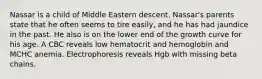 Nassar is a child of Middle Eastern descent. Nassar's parents state that he often seems to tire easily, and he has had jaundice in the past. He also is on the lower end of the growth curve for his age. A CBC reveals low hematocrit and hemoglobin and MCHC anemia. Electrophoresis reveals Hgb with missing beta chains.