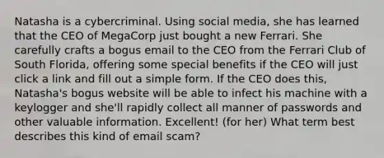 Natasha is a cybercriminal. Using social media, she has learned that the CEO of MegaCorp just bought a new Ferrari. She carefully crafts a bogus email to the CEO from the Ferrari Club of South Florida, offering some special benefits if the CEO will just click a link and fill out a simple form. If the CEO does this, Natasha's bogus website will be able to infect his machine with a keylogger and she'll rapidly collect all manner of passwords and other valuable information. Excellent! (for her) What term best describes this kind of email scam?