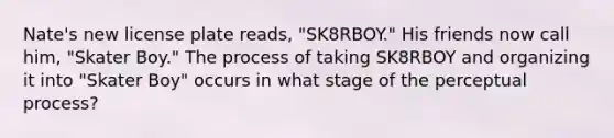 Nate's new license plate reads, "SK8RBOY." His friends now call him, "Skater Boy." The process of taking SK8RBOY and organizing it into "Skater Boy" occurs in what stage of the perceptual process?