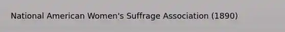 National American Women's Suffrage Association (1890)