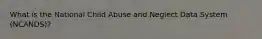 What is the National Child Abuse and Neglect Data System (NCANDS)?