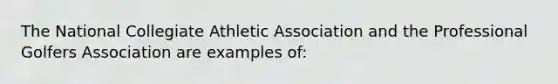 The National Collegiate Athletic Association and the Professional Golfers Association are examples of: