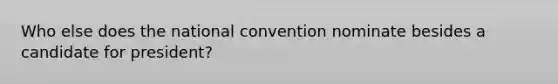 Who else does the national convention nominate besides a candidate for president?