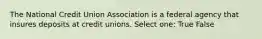 The National Credit Union Association is a federal agency that insures deposits at credit unions. Select one: True False