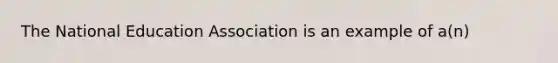 The National Education Association is an example of a(n)