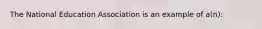 The National Education Association is an example of a(n):