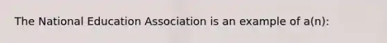 The National Education Association is an example of a(n):