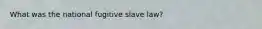 What was the national fugitive slave law?