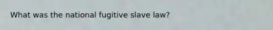 What was the national fugitive slave law?