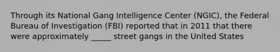 Through its National Gang Intelligence Center (NGIC), the Federal Bureau of Investigation (FBI) reported that in 2011 that there were approximately _____ street gangs in the United States