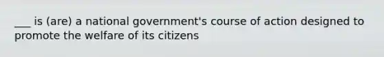 ___ is (are) a national government's course of action designed to promote the welfare of its citizens