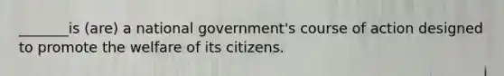 _______is (are) a national government's course of action designed to promote the welfare of its citizens.