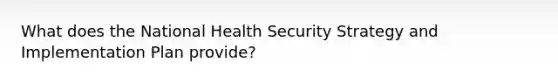 What does the National Health Security Strategy and Implementation Plan provide?