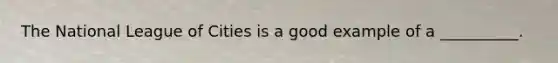 The National League of Cities is a good example of a __________.