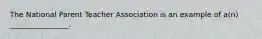 The National Parent Teacher Association is an example of a(n) ________________.