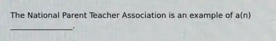 The National Parent Teacher Association is an example of a(n) ________________.