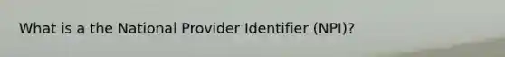 What is a the National Provider Identifier (NPI)?