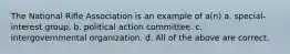 The National Rifle Association is an example of a(n) a. special-interest group. b. political action committee. c. intergovernmental organization. d. All of the above are correct.