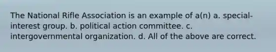 The National Rifle Association is an example of a(n) a. special-interest group. b. political action committee. c. intergovernmental organization. d. All of the above are correct.