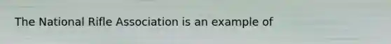 The National Rifle Association is an example of