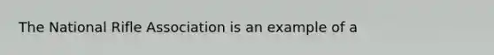 The National Rifle Association is an example of a