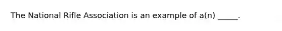 The National Rifle Association is an example of a(n) _____.