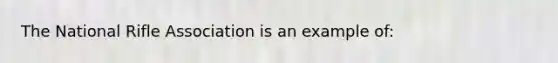 The National Rifle Association is an example of: