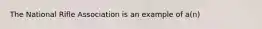 The National Rifle Association is an example of a(n)