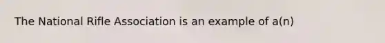The National Rifle Association is an example of a(n)