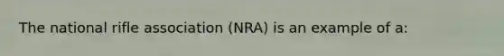 The national rifle association (NRA) is an example of a: