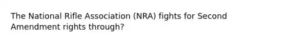 The National Rifle Association (NRA) fights for Second Amendment rights through?