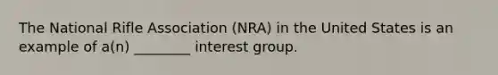 The National Rifle Association (NRA) in the United States is an example of a(n) ________ interest group.