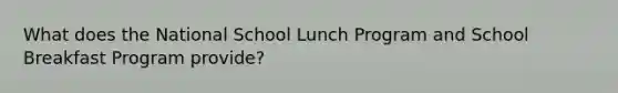 What does the National School Lunch Program and School Breakfast Program provide?