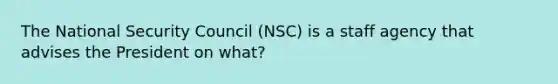 The National Security Council (NSC) is a staff agency that advises the President on what?