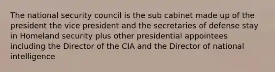 The <a href='https://www.questionai.com/knowledge/k14ej21VHe-national-security' class='anchor-knowledge'>national security</a> council is the sub cabinet made up of the president the vice president and the secretaries of defense stay in Homeland security plus other presidential appointees including the Director of the CIA and the Director of national intelligence