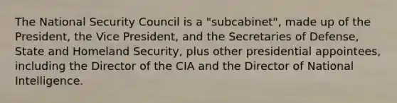 The National Security Council is a "subcabinet", made up of the President, the Vice President, and the Secretaries of Defense, State and Homeland Security, plus other presidential appointees, including the Director of the CIA and the Director of National Intelligence.