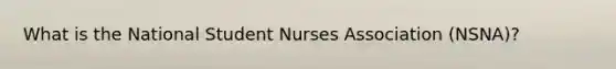 What is the National Student Nurses Association (NSNA)?